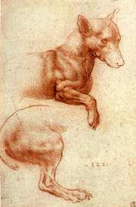 Dessin de chien