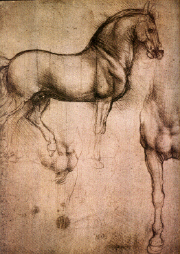 Etudes de chevaux