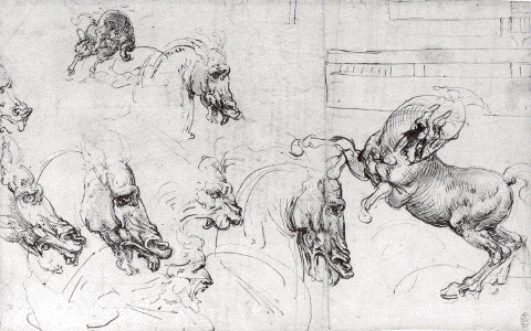 Etude de chevaux