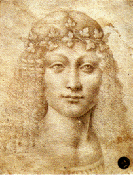 Giovane Baco