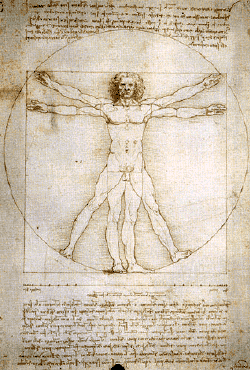 Etude de proportions