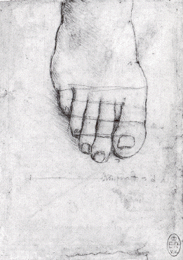 Etude pour le pied gauche du christ dans la cne
