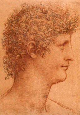 Profil de Sala