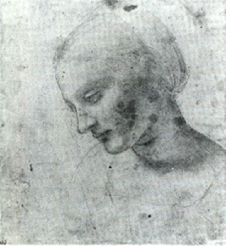 Tte de jeune femme